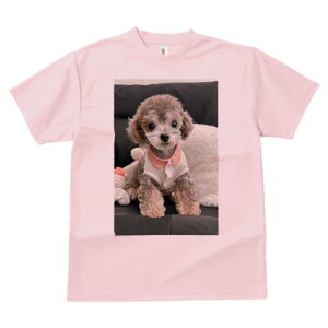 gCv[h TVc Y LbY t@  t  vg JWA 킢 lԗp h ̃fUC ʔ ʂ gCv[h 