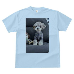 gCv[h TVc Y LbY t@  t  vg JWA 킢 lԗp h ̃fUC ʔ ʂ gCv[h 