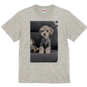 gCv[h TVc Y LbY t@  t  vg JWA 킢 lԗp h ̃fUC ʔ ʂ gCv[h 