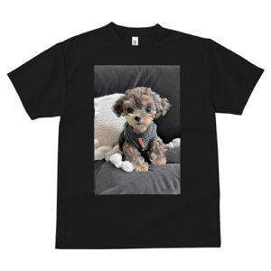 gCv[h TVc fB[X t@  t  vg JWA 킢 lԗp h ̃fUC ʔ ʂ gCv[h 