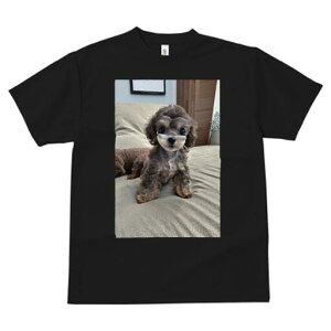 gCv[h TVc fB[X t@  t  vg JWA 킢 lԗp h ̃fUC ʔ ʂ gCv[h 킢 L[g 