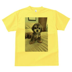 トイプードル Tシャツ メンズ キッズ 犬ファン 半袖 春夏 犬柄 プリント カジュアル かわいい 人間用 個性派 ここだけのデザイン 面白 ぬいぐるみ トイプードル キュート 愛犬