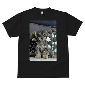 トイプードル Tシャツ メンズ キッズ 犬ファン 半袖 春夏 犬柄 プリント カジュアル かわいい 人間用 個性派 ここだけのデザイン 面白 ぬいぐるみ トイプードル