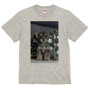 gCv[h TVc Y LbY t@  t  vg JWA 킢 lԗp h ̃fUC ʔ ʂ gCv[h