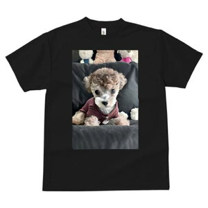 gCv[h,}`[Y TVc fB[X t@  t  vg JWA 킢 lԗp h ̃fUC ʔ ʂ gCv[h,}`[Y Z[^[