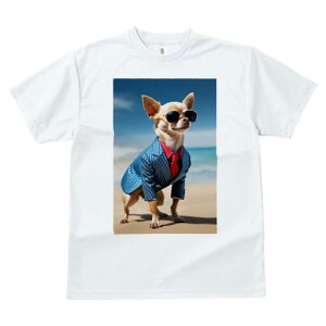 ` TVc fB[X t@  t  vg JWA 킢 lԗp h ̃fUC ʔ TOX ` X[c C l