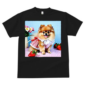 |jA TVc Y LbY t@  t  vg JWA 킢 lԗp h ̃fUC ʔ  |jA 