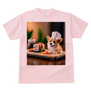 R[M[ TVc Y LbY t@  t  vg JWA 킢 lԗp h ̃fUC ʔ i R[M[ VFt̖Xq ݖ ؐgC