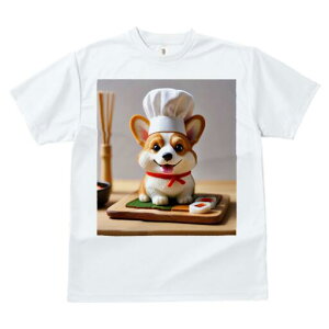 R[M[ TVc Y LbY t@  t  vg JWA 킢 lԗp h ̃fUC ʔ i R[M[ VFt̖Xq ؐgC |AĊ