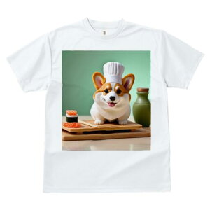 R[M[ TVc fB[X t@  t  vg JWA 킢 lԗp h ̃fUC ʔ i R[M[ VFt̖Xq ݖ