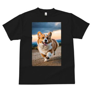 R[M[ TVc fB[X t@  t  vg JWA 킢 lԗp h ̃fUC ʔ  R[M[ [Ă 