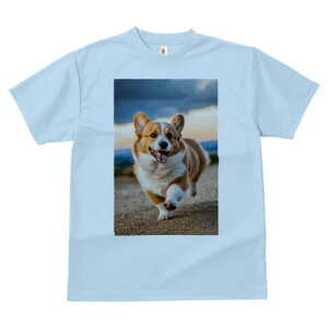 R[M[ TVc Y LbY t@  t  vg JWA 킢 lԗp h ̃fUC ʔ  R[M[ [Ă 