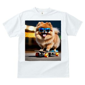 |jA TVc Y LbY t@  t  vg JWA 킢 lԗp h ̃fUC ʔ TOX |jA XP[g{[h