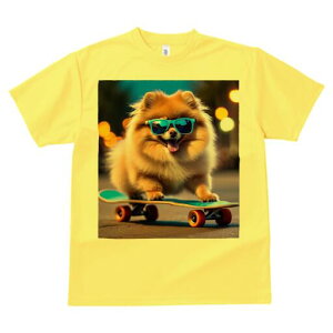 |jA TVc Y LbY t@  t  vg JWA 킢 lԗp h ̃fUC ʔ XP[g{[h |jA TOX