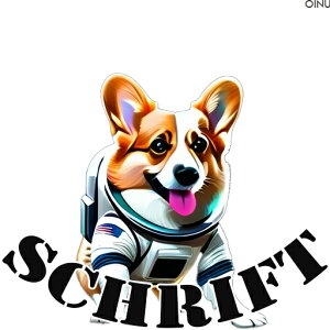 F R[M[ Xy[X NbVJo[ 45×45cm Aj}   NbV{̕t ` t@