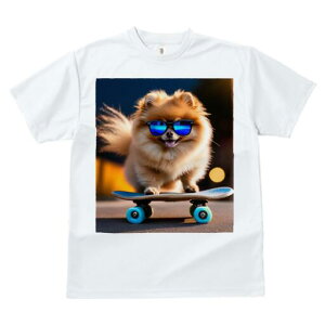 |jA TVc fB[X t@  t  vg JWA 킢 lԗp h ̃fUC ʔ XP[g{[h |jA TOX