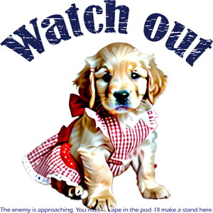  S[fgo[ Gv { NbVJo[ 45×45cm Aj}   NbV{̕t ` t@