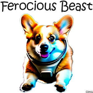 F R[M[ NbVJo[ 45×45cm Aj}   NbV{̕t ` t@