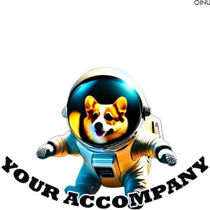 Fsm R[M[ Xy[X F NbVJo[ 45×45cm Aj}   NbV{̕t ` t@