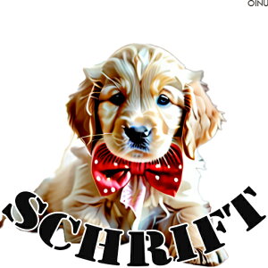 lN^C S[fgo[ NbVJo[ 45×45cm Aj}   NbV{̕t ` t@