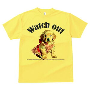 S[fgo[ TVc Y LbY t@  t  vg JWA 킢 lԗp h ̃fUC ʔ  S[fgo[ Gv {