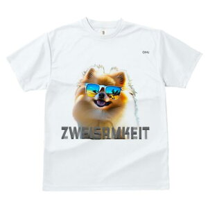 |jA TVc fB[X t@  t  vg JWA 킢 lԗp h ̃fUC ʔ TOX |jA r[`