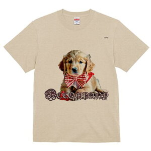 S[fgo[ TVc Y LbY t@  t  vg JWA 킢 lԗp h ̃fUC ʔ lN^C S[fgo[ 