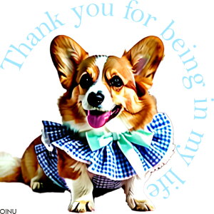  R[M[ { NbVJo[ 45×45cm Aj}   NbV{̕t ` t@