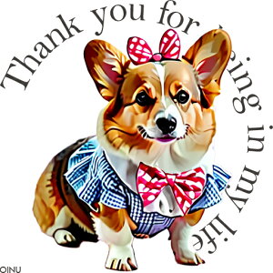 { R[M[  NbVJo[ 45×45cm Aj}   NbV{̕t ` t@