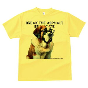 Zgo[i[h TVc Y LbY t@  t  vg JWA 킢 lԗp h ̃fUC ʔ Kl Zgo[i[h