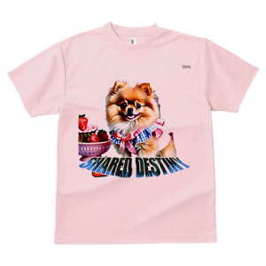 |jA TVc Y LbY t@  t  vg JWA 킢 lԗp h ̃fUC ʔ  |jA XC[c fU[g