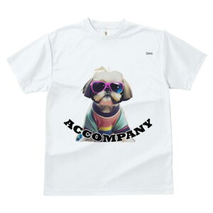 V[Y[ TVc fB[X t@  t  vg JWA 킢 lԗp h ̃fUC ʔ TOX V[Y[ TVc