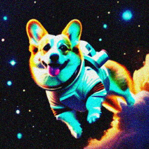 F R[M[ Xy[X  F NbVJo[ 45×45cm Aj}   NbV{̕t ` t@