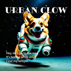 F R[M[ Xy[X F NbVJo[ 45×45cm Aj}   NbV{̕t ` t@