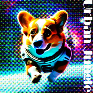 F R[M[ NbVJo[ 45×45cm Aj}   NbV{̕t ` t@