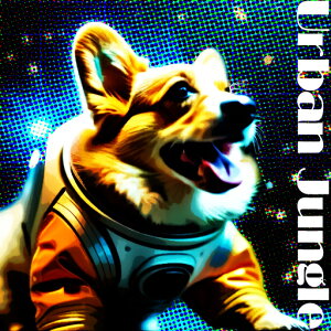 F R[M[ NbVJo[ 45×45cm Aj}   NbV{̕t ` t@