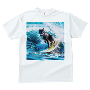 TVc fB[X t@  t  vg JWA 킢 lԗp h ̃fUC ʔ g T[tB