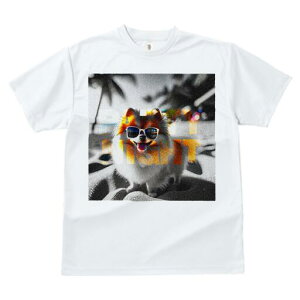 |jA TVc fB[X t@  t  vg JWA 킢 lԗp h ̃fUC ʔ TOX |jA r[` 