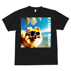 |jA TVc fB[X t@  t  vg JWA 킢 lԗp h ̃fUC ʔ TOX |jA