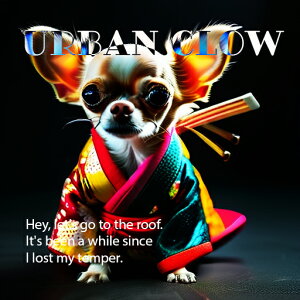  ` a 킢 NbVJo[ 45×45cm Aj}   NbV{̕t ` t@