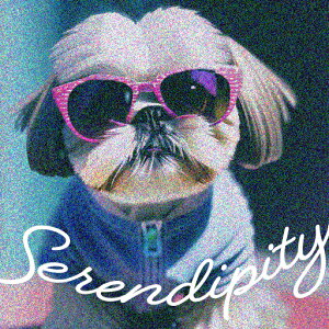 TOX V[Y[  NbVJo[ 45×45cm Aj}   NbV{̕t ` t@