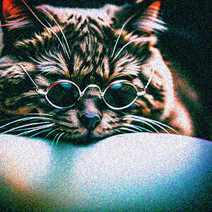 Kl NbVJo[ 45×45cm Aj}   NbV{̕t ` t@