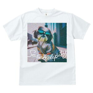 V[Y[ TVc fB[X t@  t  vg JWA 킢 lԗp h ̃fUC ʔ TOX V[Y[