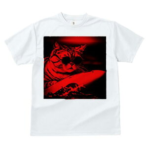 TVc fB[X t@  t  vg JWA 킢 lԗp h ̃fUC ʔ TOX T[t{[h g