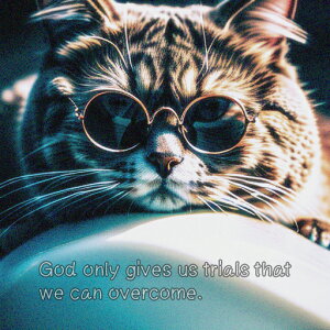 Kl NbVJo[ 45×45cm Aj}   NbV{̕t ` t@