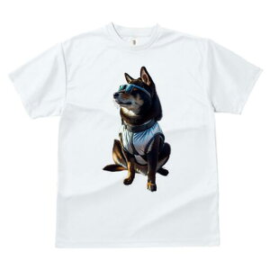 Č TVc fB[X t@  t  vg JWA 킢 lԗp h ̃fUC ʔ TOX Č xXg