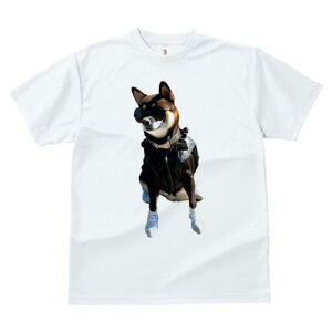 Č TVc fB[X t@  t  vg JWA 킢 lԗp h ̃fUC ʔ TOX Č vW C