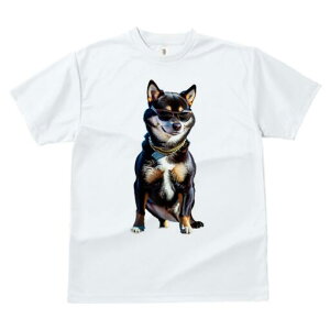 Č TVc fB[X t@  t  vg JWA 킢 lԗp h ̃fUC ʔ TOX Č lbNX