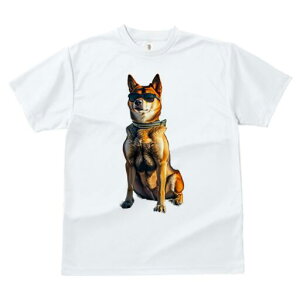 Č TVc fB[X t@  t  vg JWA 킢 lԗp h ̃fUC ʔ TOX Č 