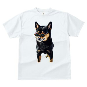 Č TVc fB[X t@  t  vg JWA 킢 lԗp h ̃fUC ʔ TOX Č